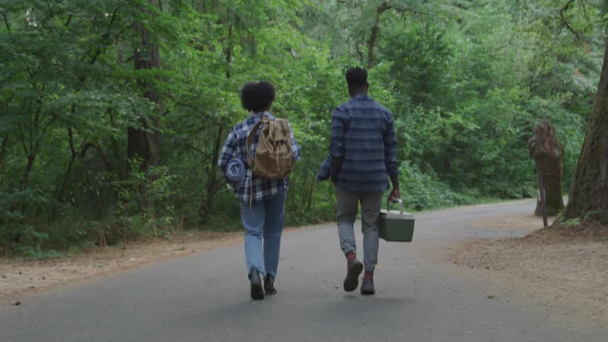 Boys from behind walking in the woods
