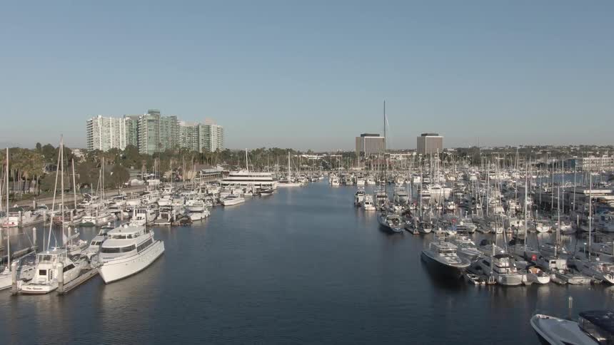 Aerial view of boats and yachts in docks and marinas with buildings of a metropolis in the background