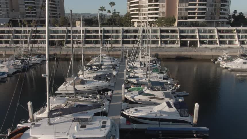 Sailboats are neatly lined up in a marina