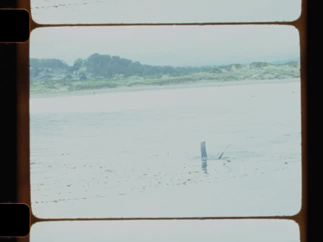 The image shows a diver sinking underwater with only his fins visible above the surface near a sandy shoreline with distant hills and trees in view