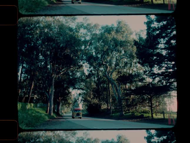 Van crossing a road in the middle of the forest