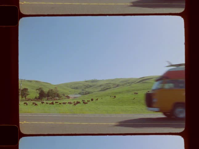 A herd of cows grazes on a grassy hillside as a yellow van drives past under a clear blue sky
