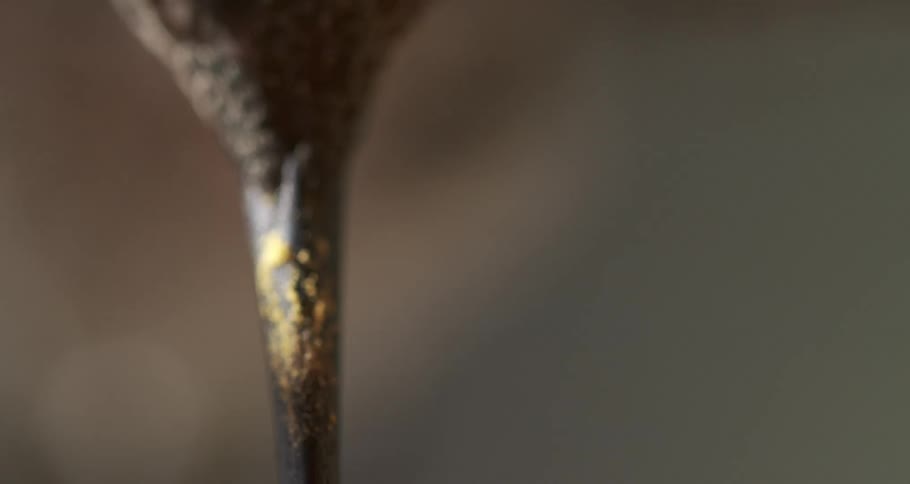Anna's Hummingbird Feeding Tongue Visible Super Slow Motion
