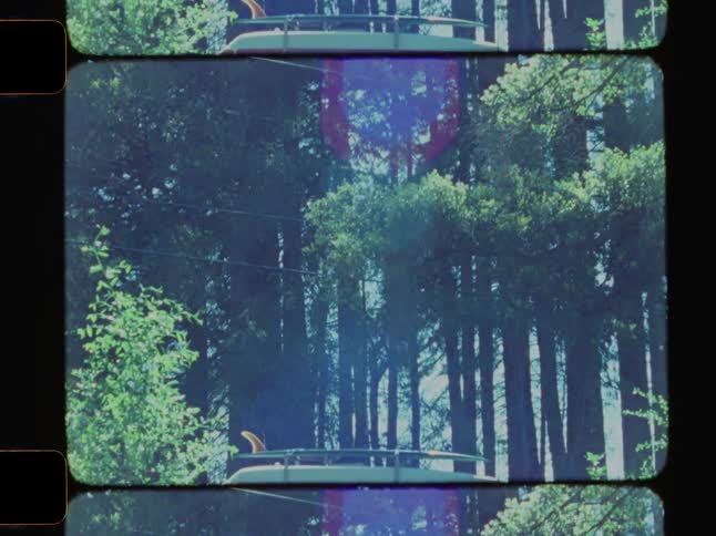 View of a van in the middle of the forest
