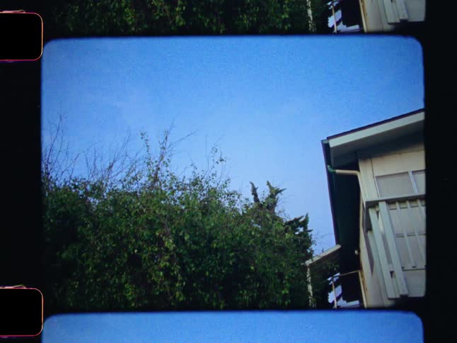 View from outside a house near a tree