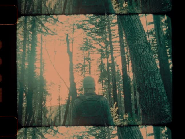 A person shown from behind hikes in the woods carrying a backpack