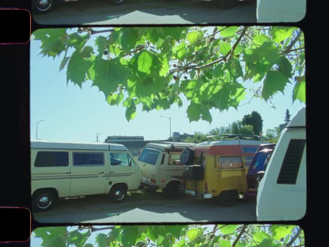 Framed by the edges of the visible film many vintage vans are parked closely together in an outdoor setting beneath branches supporting lush vibrant leaves