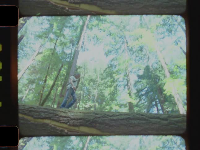 A man walks along a fallen tree trunk in a dense forest with tall trees and sunlight filtering through the leaves