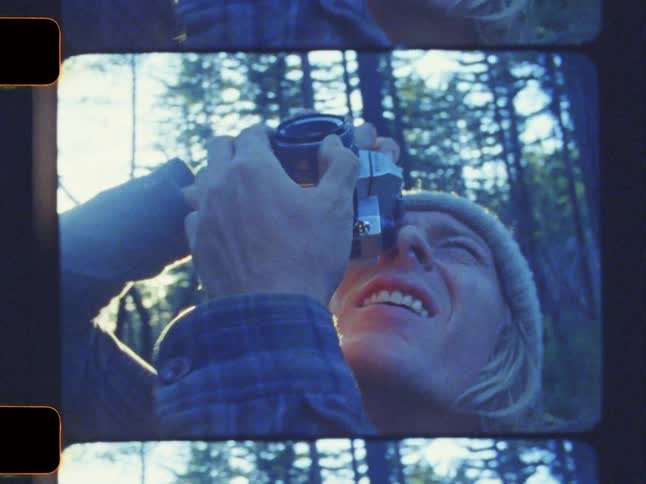 A man is photographing the top of the trees