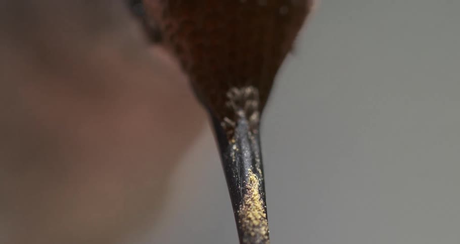 Anna's Hummingbird Feeding Close Up Macro Slow Center Frame Shallow Depth of Field