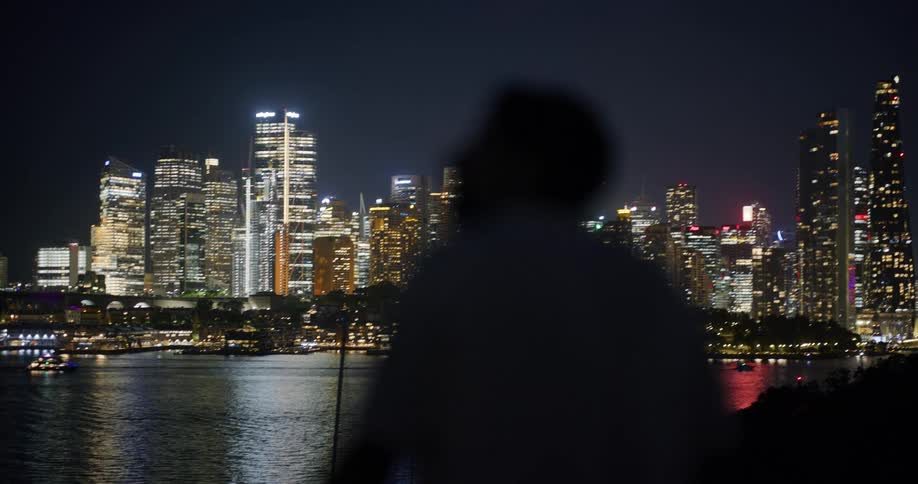 A silhouetted figure stands overlooking a brightly lit cityscape at night with a body of water reflecting the city lights