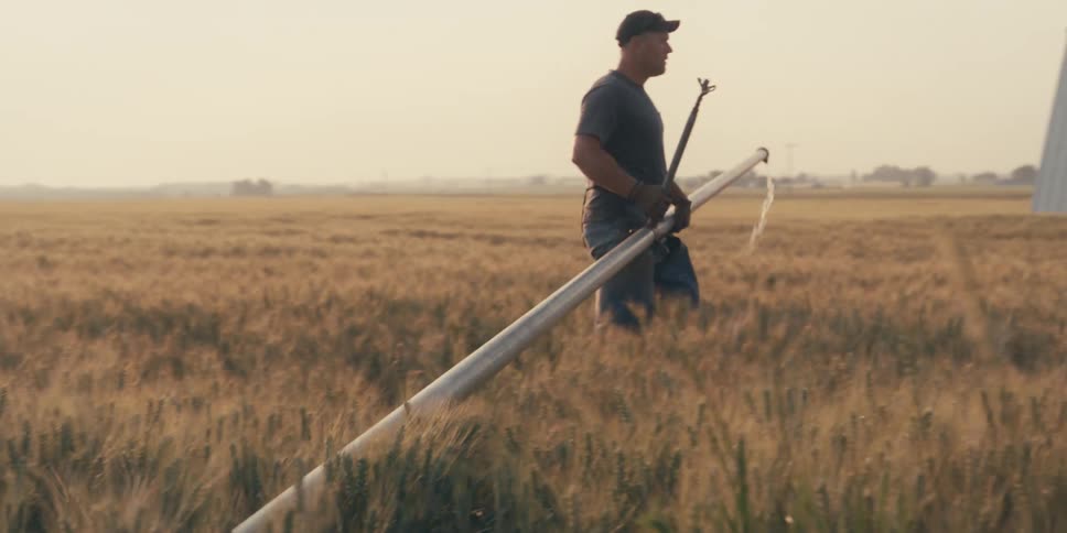 A farmer removes and carries a section of an irrigation system from a wheat field
