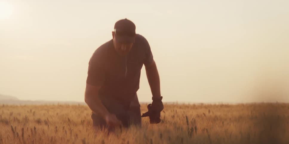 The man in the hat carrying the gloves is walking across a field and stops and grabs a piece of wheat