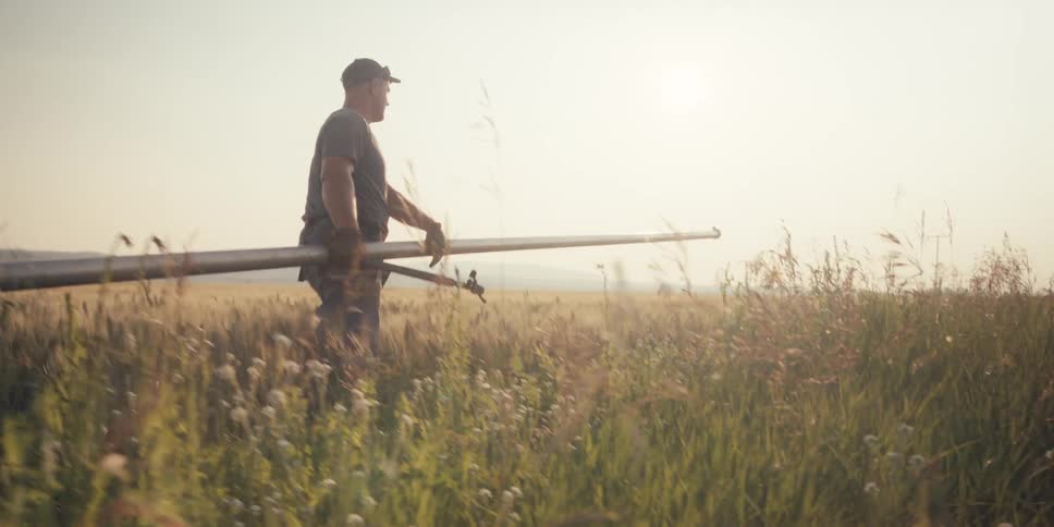 A farmer carries a long section of irrigation pipe by his waist while walking through a field during the warm light of sunset