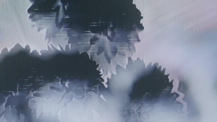 Static flickering over black and white digital images of lush tree tops