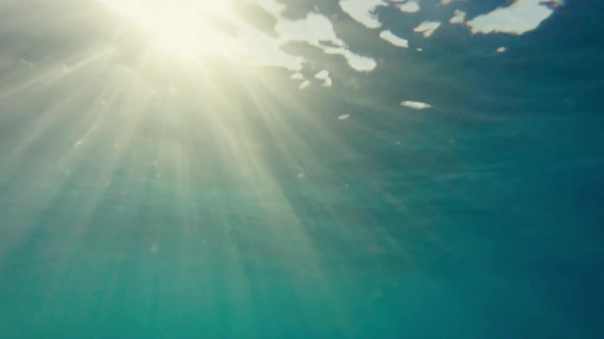 An underwater of sunlight streaming through the waters surface creating a bright ethereal effect