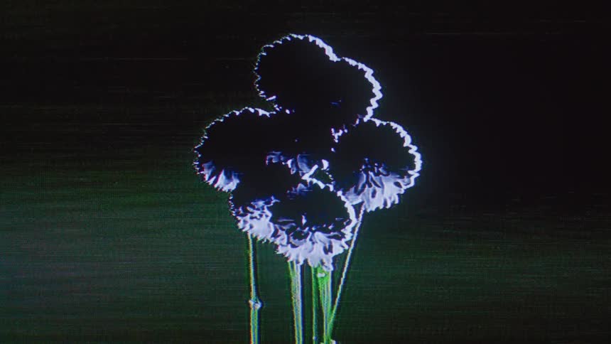Blue flowers in the darkness