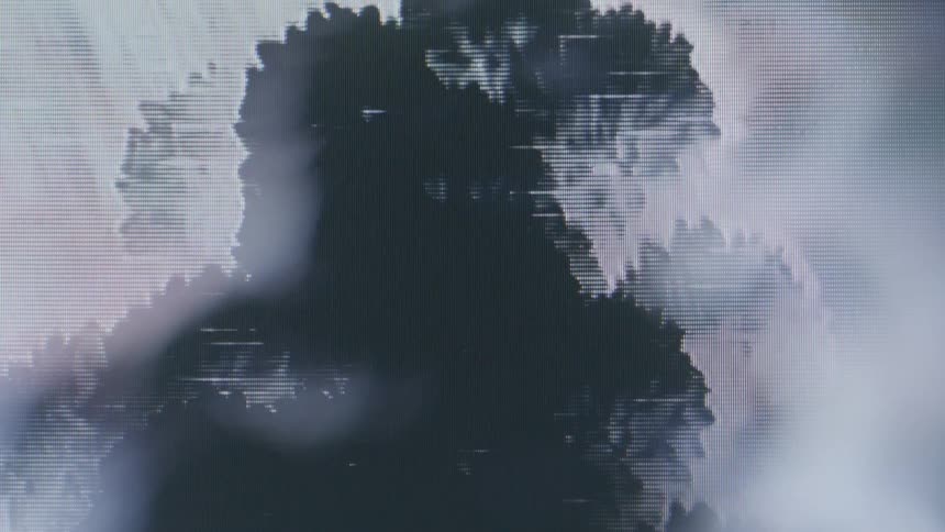 Old monitor with shadows of flowers