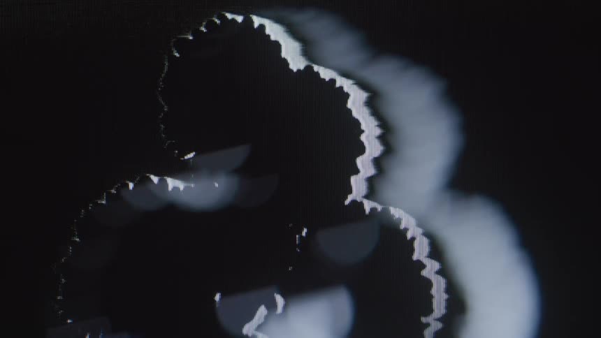 Light creates a silhouette of flowers in the dark