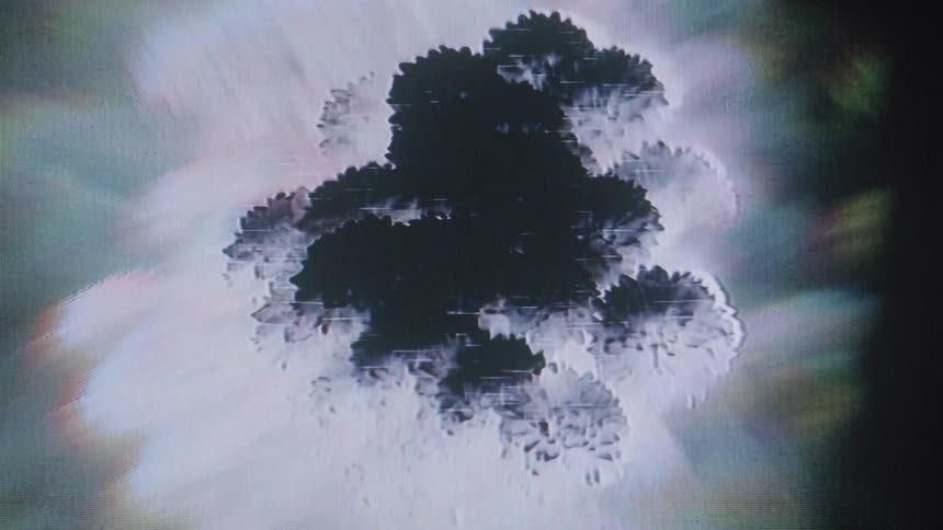 The flower is shown in black and white by using lights