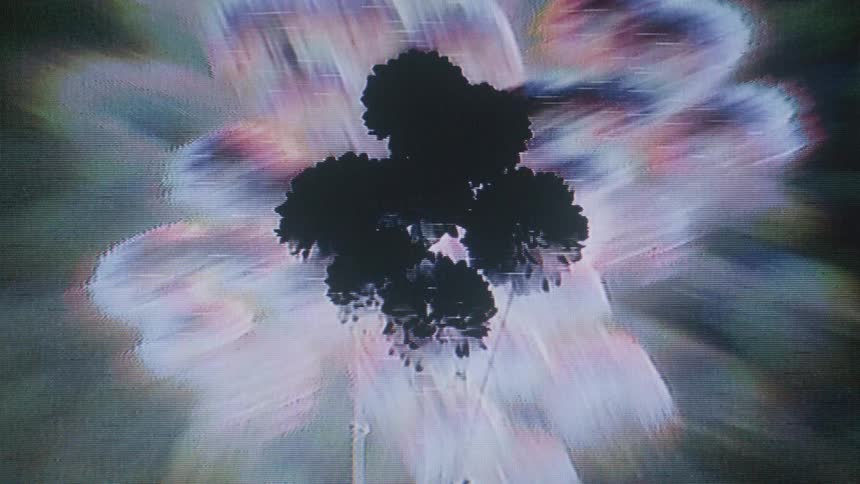There are solid black roundish items in the middle of a lit area that resembles a flower and the back ground is a muted black