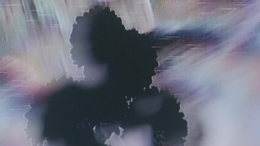 Old video with shadows of flowers with disturbances