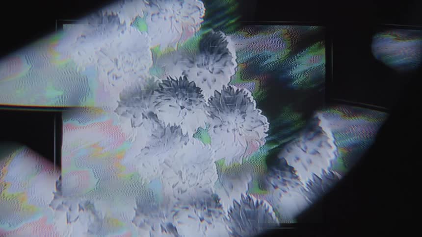 Screen with some strange graphics of flowers