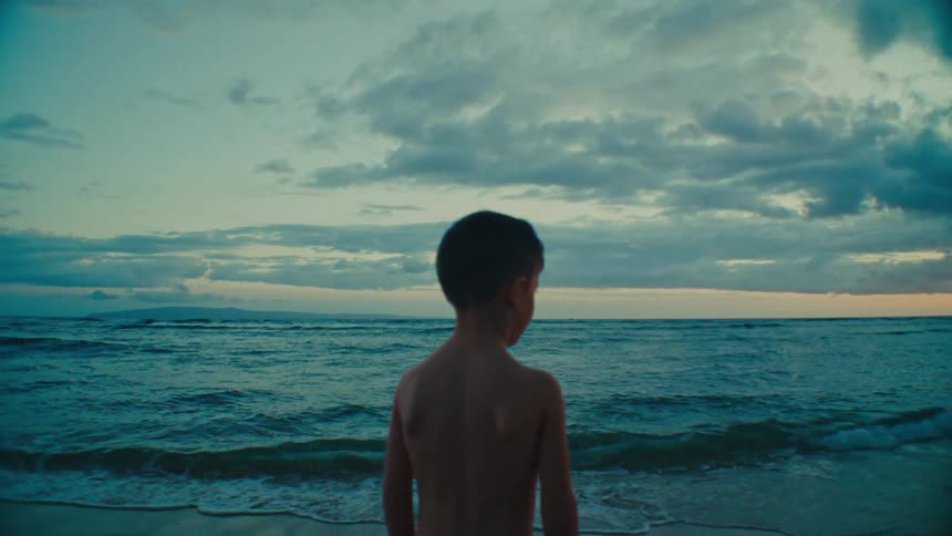 A young person stands with their back to the viewer facing the ocean at dusk