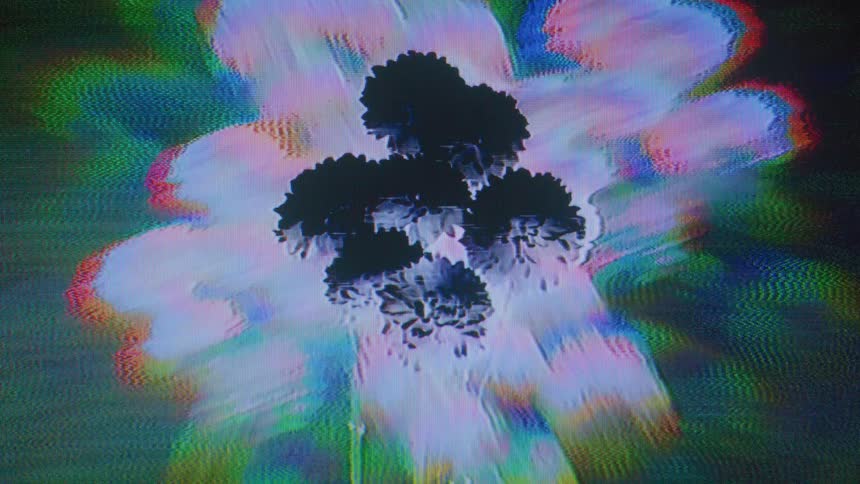Partially silhouetted flowers contrast with the surrounding blue and red tinted pale patches that are surrounded in turn by green and black
