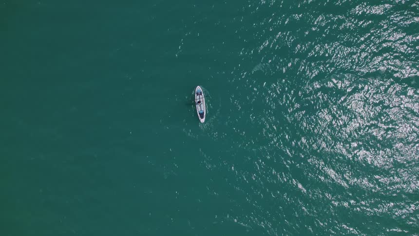 A person is using an oar to paddle a board on the water