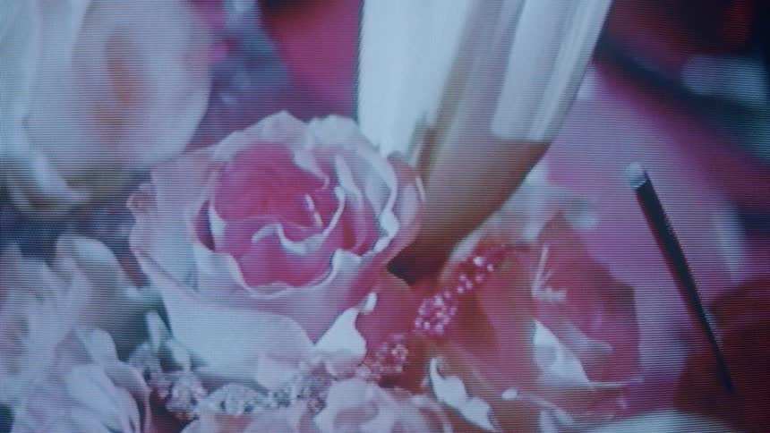 A footage of a flower