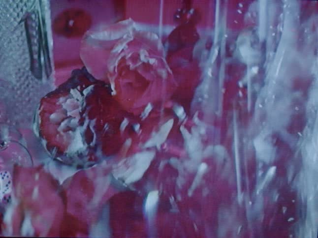 A closeup presents an abstract arrangement of roses and crystal like object with dynamic flashing light creating areas of illumination