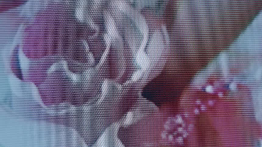 A footage of a white and pink flower