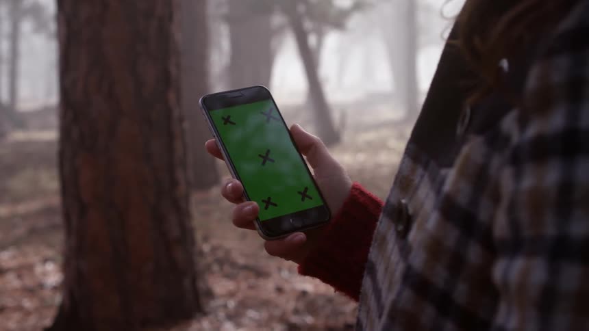 A person standing in the woods holds a smartphone