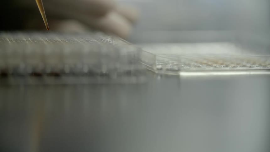 A laboratory worker inserts liquid into a canister