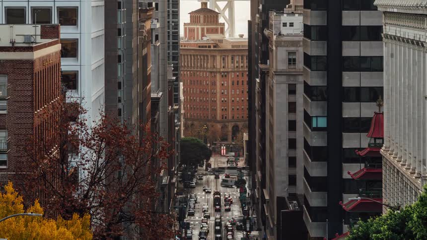 Cars and trucks travel on the city street