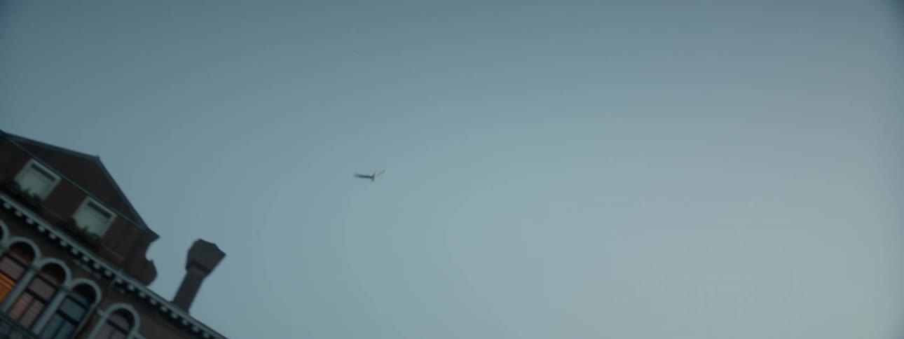 A bird flies high in the blue sky