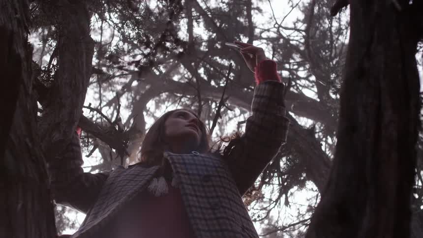 A woman stands in a tree and holds her phone up in front of her