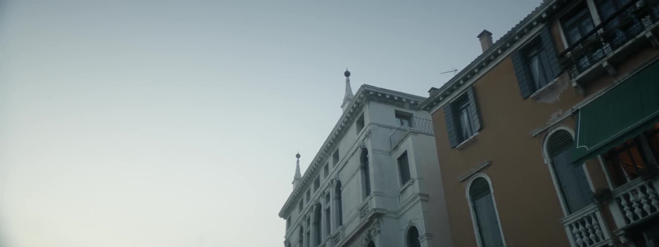 A bird flies over a row of old buildings stood against an overcast sky
