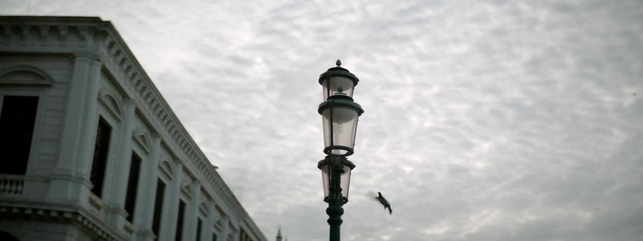 A bird lands on a city lamp post