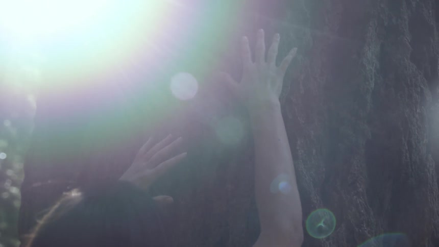 A person is touching the side of a large tree