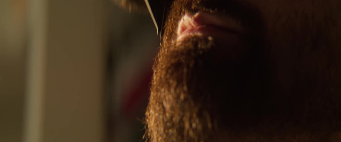 A closeup of a bearded man having his beard trimmed and combed illuminated by warm sunlight