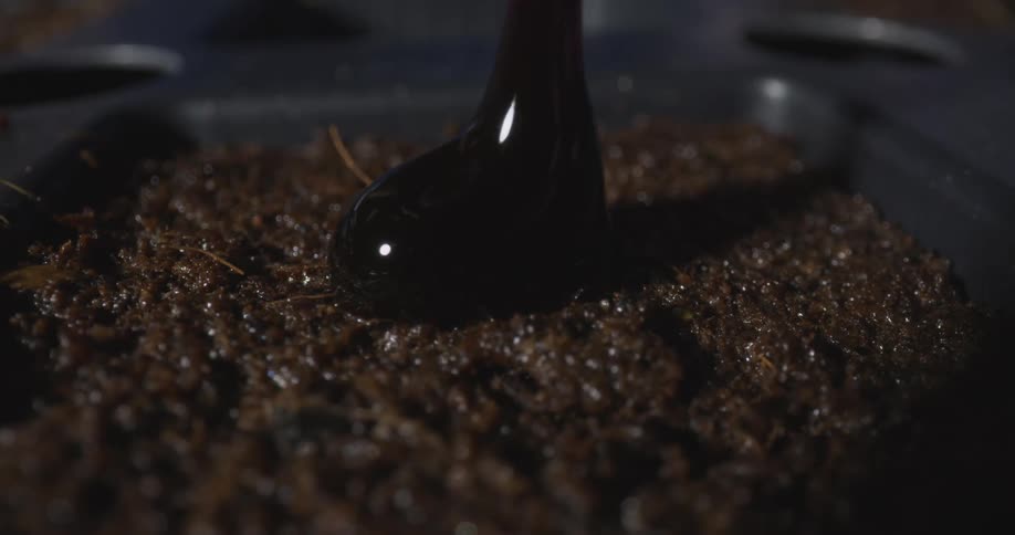 A black gel is dropped on the soil