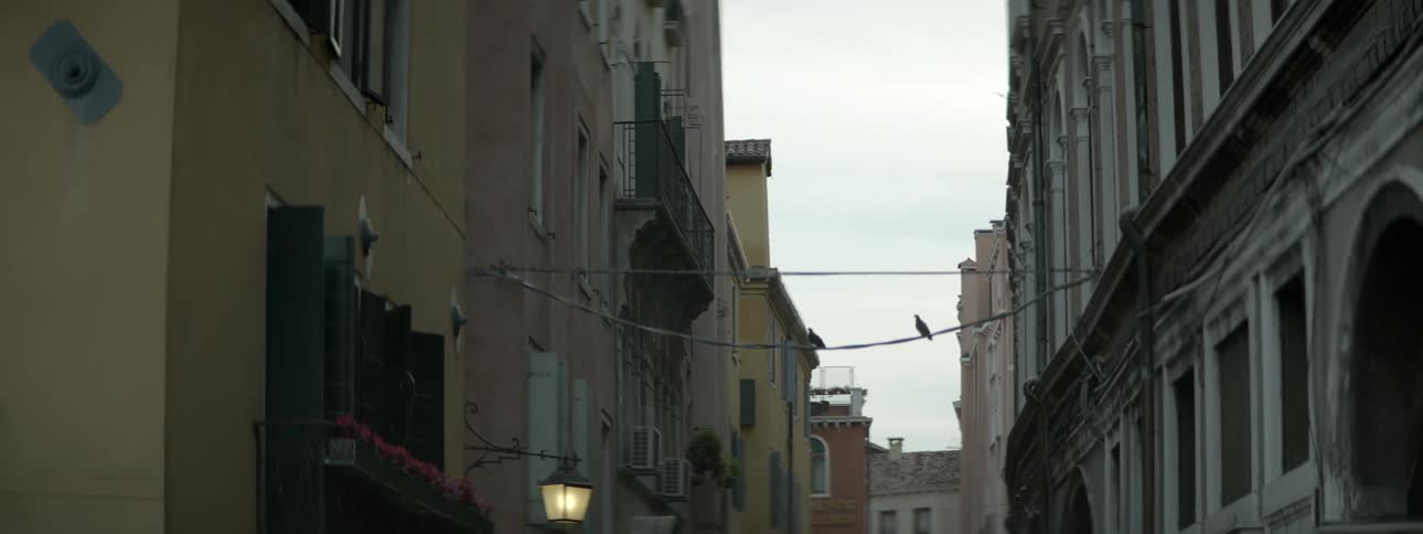 Birds sit on wires extended between row houses