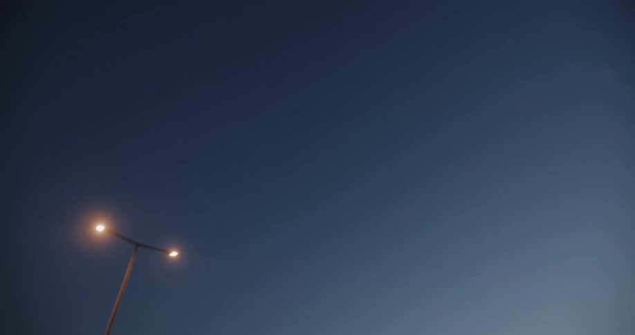 Lamp posts line the night sky