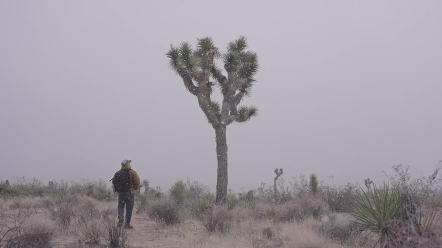 A man raises his arm as it snows while he hikes