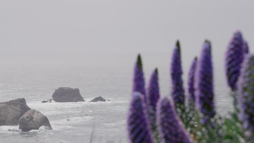 Sea view with a lavender plant in the foreground