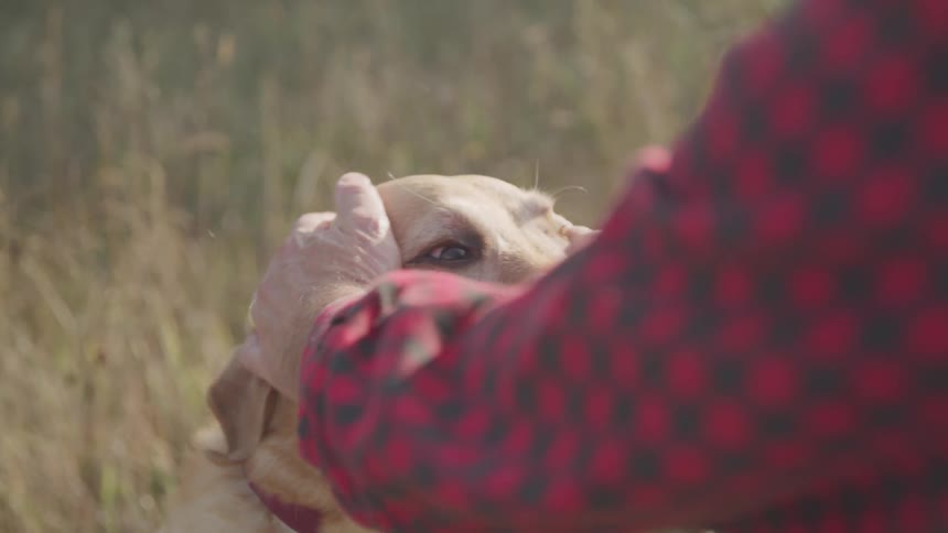 Man outside in tall grass petting his dog