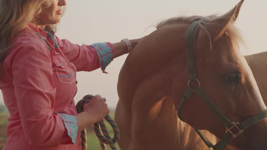 Woman strokes a horse while holding it close with a rope