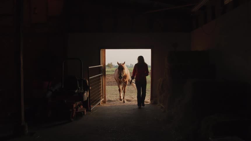 Woman walking horse into dark barn from outside